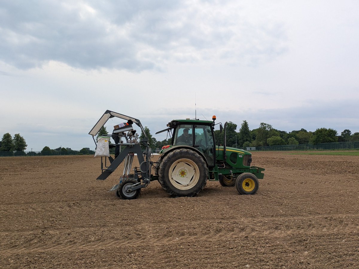 Mollie Langdon (@langdonmollie) on Twitter photo Today our #GeneEdited camelina was sown at <a href="/Rothamsted/">Rothamsted Research</a>! Using CRISPR-Cas9, we have generated larger seeds by silencing genes in seed coat development. Given the recent secondary legislation for the #PrecisionBreeding Act, we are excited to see how our lines develop in the field! Today our #GeneEdited camelina was sown at <a href="/Rothamsted/">Rothamsted Research</a>! Using CRISPR-Cas9, we have generated larger seeds by silencing genes in seed coat development. Given the recent secondary legislation for the #PrecisionBreeding Act, we are excited to see how our lines develop in the field!