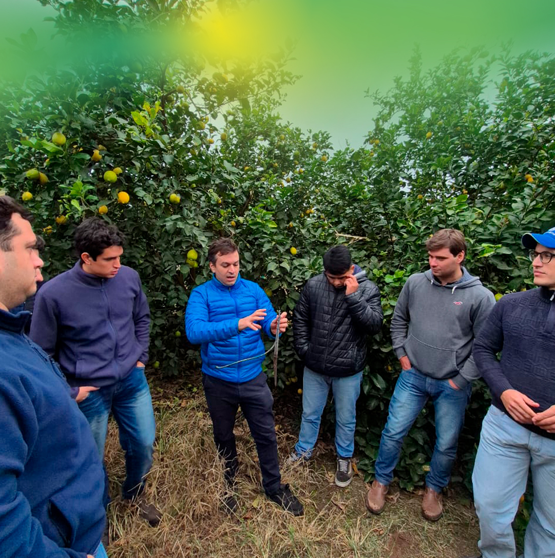 Citromax Group tweet media