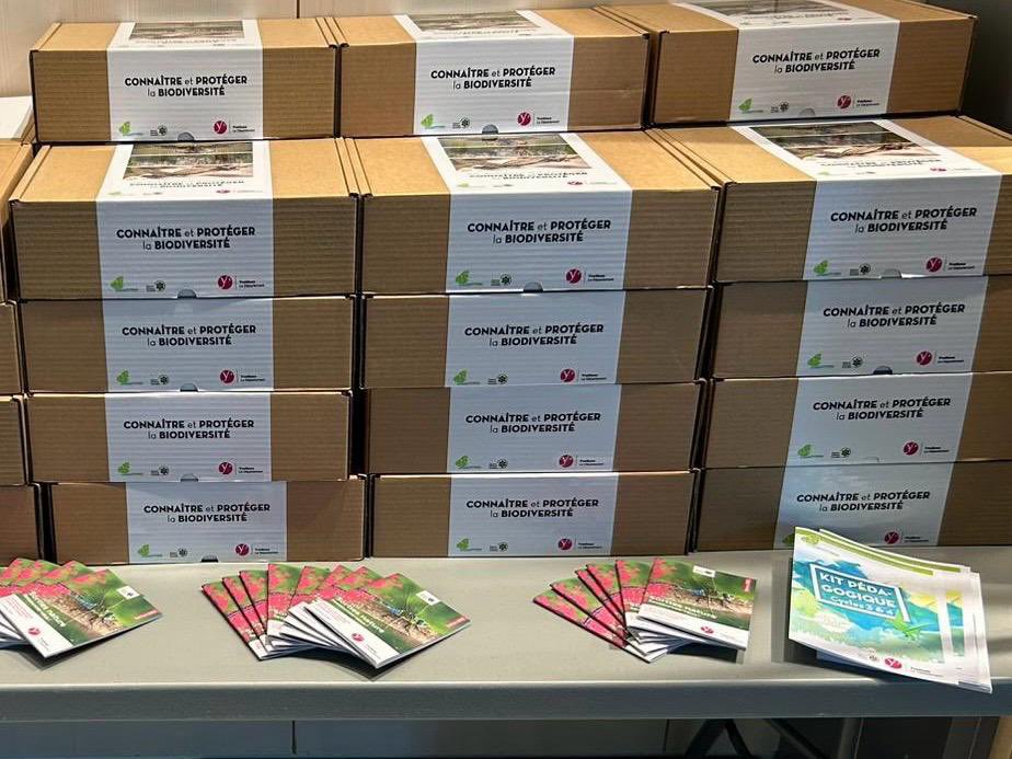 Ensemble #Yvelines (@epyvelines) on Twitter photo .<a href="/nicolebristol78/">Nicole Bristol</a>, vice-présidente en charge de la #biodiversité, s’est rendue au parc du Peuple de l’herbe. Elle y a remis des kits #pédagogiques à des collégiens pour les sensibiliser à la préservation des écosystèmes.
La #nature est belle dans <a href="/Les_Yvelines/">Les Yvelines</a>, protégeons-la ! .<a href="/nicolebristol78/">Nicole Bristol</a>, vice-présidente en charge de la #biodiversité, s’est rendue au parc du Peuple de l’herbe. Elle y a remis des kits #pédagogiques à des collégiens pour les sensibiliser à la préservation des écosystèmes.
La #nature est belle dans <a href="/Les_Yvelines/">Les Yvelines</a>, protégeons-la !