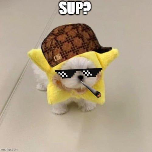 DeTanksNFT's tweet photo. Sup?? https://t.co/19g91qoJjB