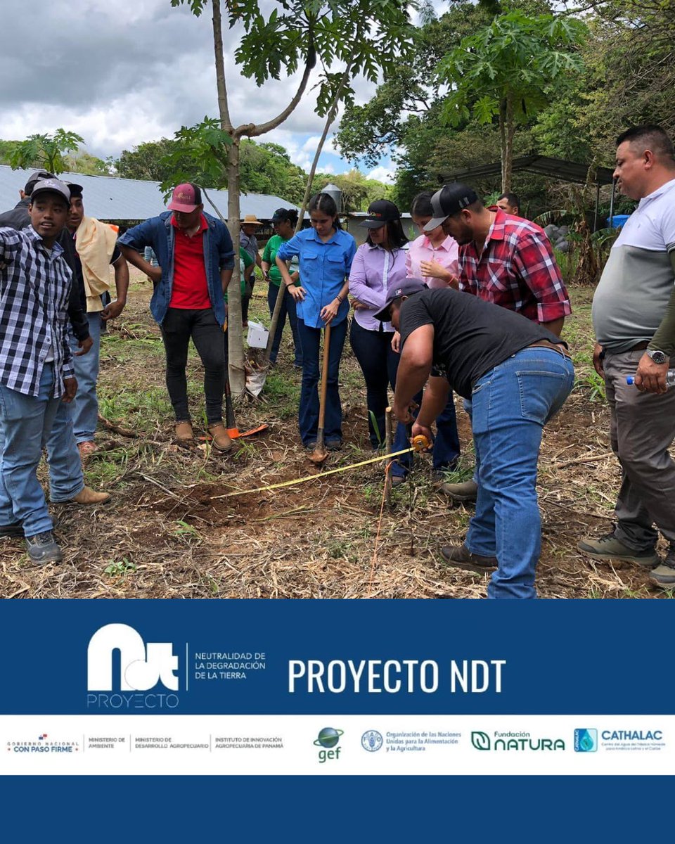 Con el #ProyectoNDTPanamá llevamos a cabo el Taller de Ganadería Sostenible: Estrategias para una producción eficiente y ecológica, con la participación de 32 hombres y 13 mujeres, comprometidos con transformar las prácticas ganaderas actuales, en la cuenca del río Santa María.