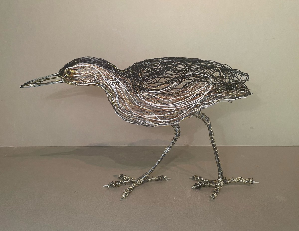 PaulGreenWire's tweet image. Just finished the first of the Lesbos Birds.I spent much time watching Little Bittern creep through and disappearing into the Giant Reed.Freehand like all my work using various,Copper,Iron and Aluminium Wires. #littlebittern #wiresculpture #birdartist #wireartist #lesbosbirds