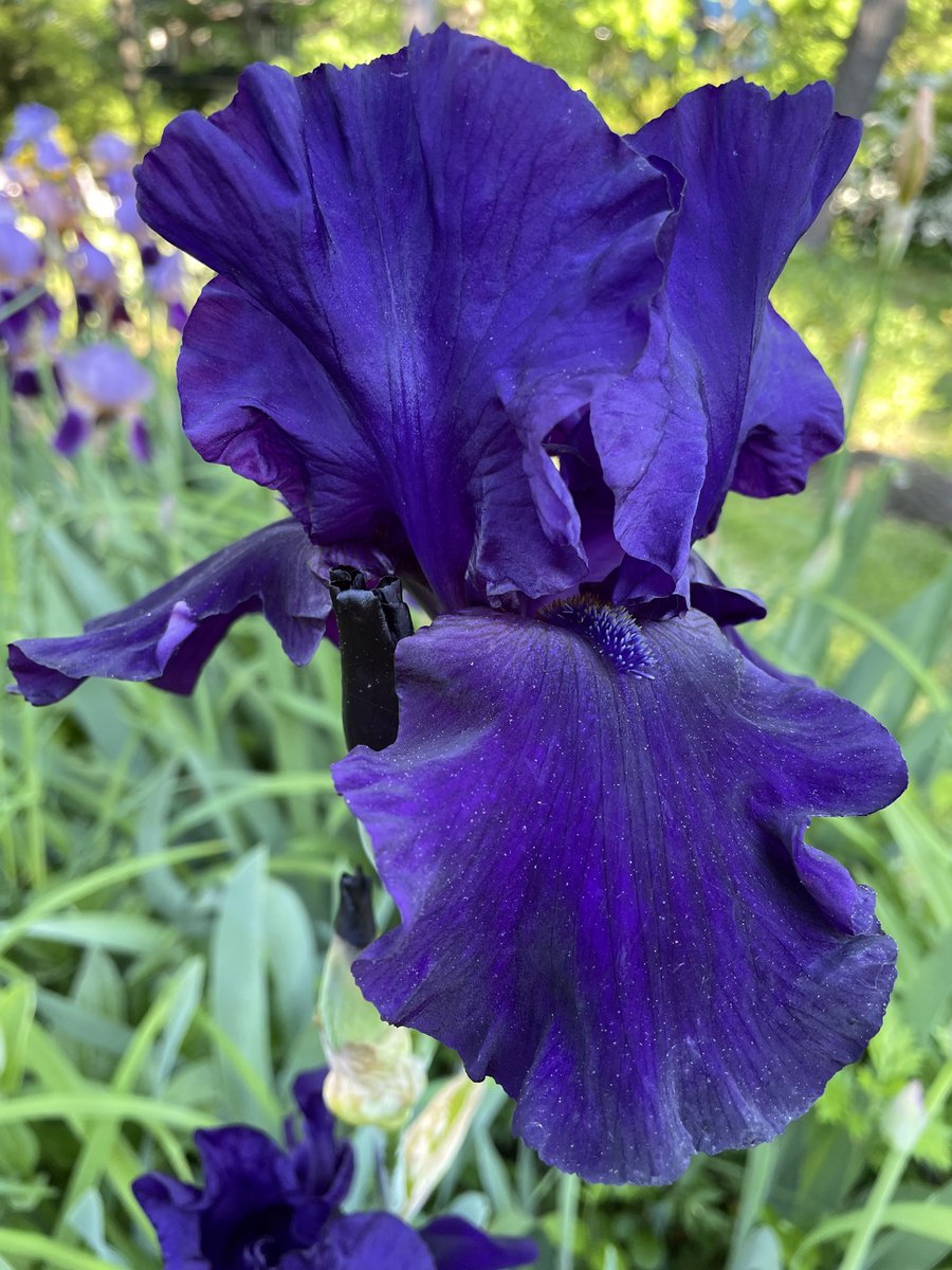 Joyce M Sullivan tweet media