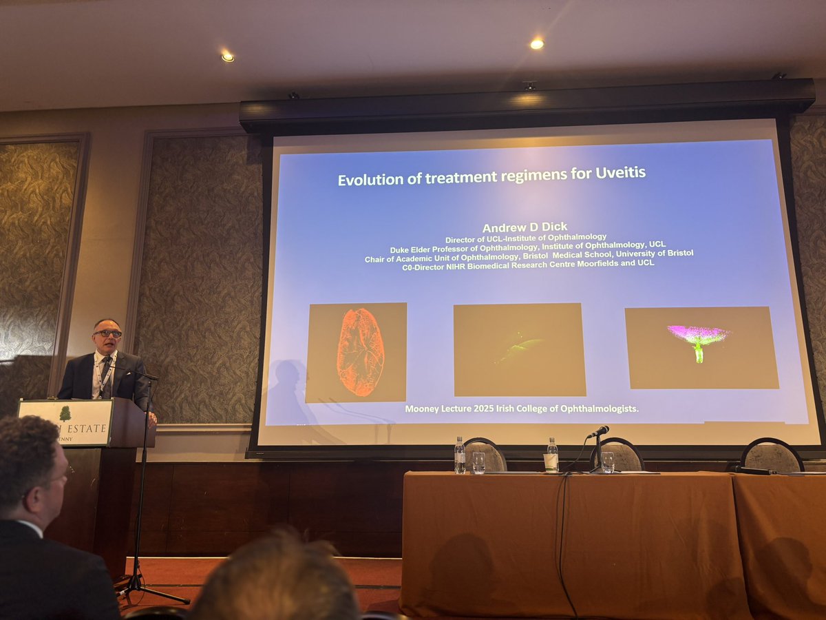 Irish College of Ophthalmologists (@eyedoctorsirl) on Twitter photo It’s our great pleasure to welcome Prof Andrew Dick,
Duke Elder Chair & Director of Institute of Ophthalmology, University College London &
Prof of Ophthalmology, University of Bristol to present the Anusl Mooney Lecture 2025 <a href="/UCLeye/">UCL Institute of Ophthalmology</a> <a href="/BristolUni/">University of Bristol</a> <a href="/RCOphth/">Royal College of Ophthalmologists</a> #ICOKilkenny2025 It’s our great pleasure to welcome Prof Andrew Dick,
Duke Elder Chair & Director of Institute of Ophthalmology, University College London &
Prof of Ophthalmology, University of Bristol to present the Anusl Mooney Lecture 2025 <a href="/UCLeye/">UCL Institute of Ophthalmology</a> <a href="/BristolUni/">University of Bristol</a> <a href="/RCOphth/">Royal College of Ophthalmologists</a> #ICOKilkenny2025