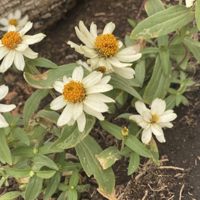 #NewProfilePic تصويري#