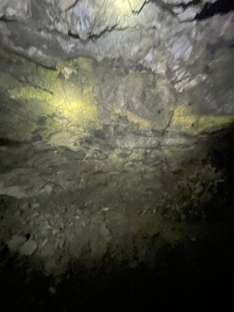 Face of high grade ore which will be mined at our Sunday Mine⚒️

🇨🇦CSE: WUC 🇺🇸OTCQX: WSTRF #uranium #vanadium