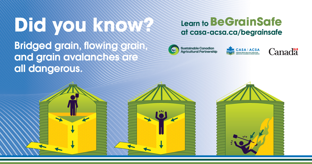 CCGA_ca (@ccga_ca) on Twitter photo It’s often said the best way to stay safe around grain is to stay out of it — but what does that really mean?
CCGA’s Chair <a href="/andiharpe/">Andre Harpe</a> breaks it down in Canadian Ag Safety Alliance’s latest article on grain safety.
Read more: ccga.ca/proactive-grai… #CdnAg #Plant25 It’s often said the best way to stay safe around grain is to stay out of it — but what does that really mean?
CCGA’s Chair <a href="/andiharpe/">Andre Harpe</a> breaks it down in Canadian Ag Safety Alliance’s latest article on grain safety.
Read more: ccga.ca/proactive-grai… #CdnAg #Plant25