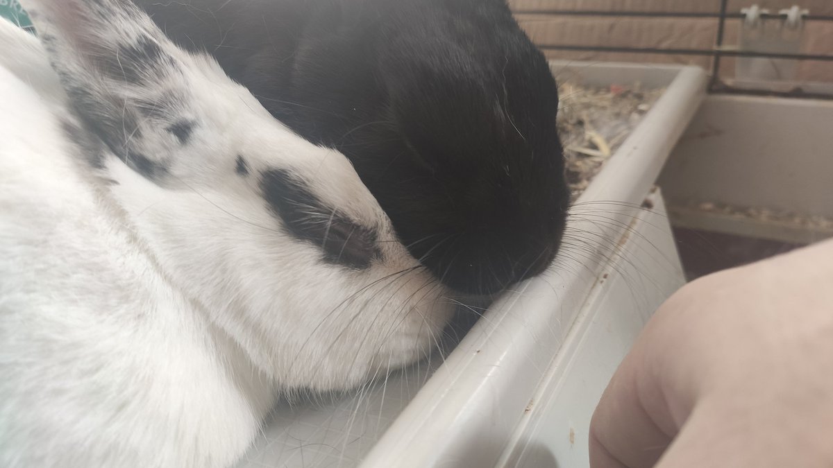 Aedius Zade tweet media