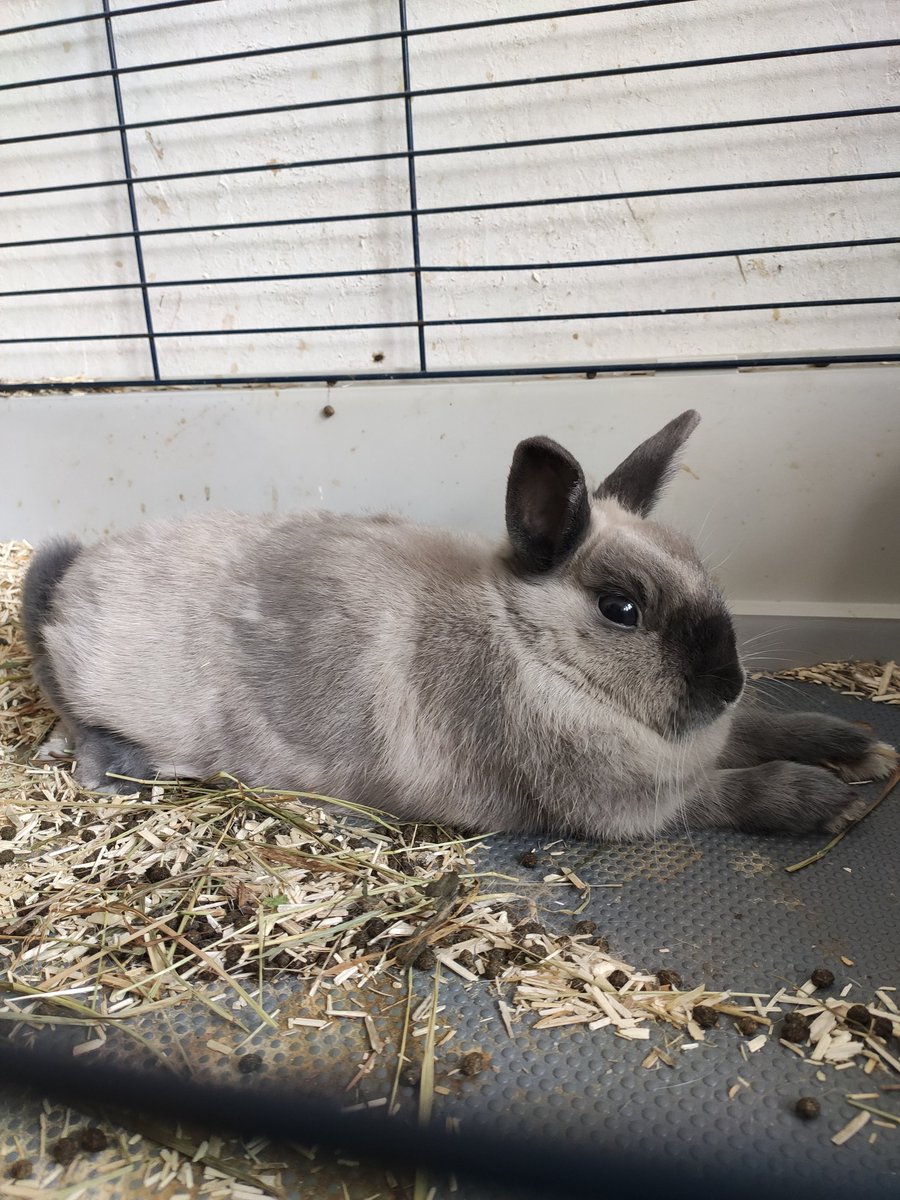 Aedius Zade tweet media