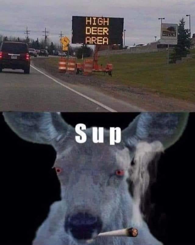 SpillTheMemes's tweet image. 😂