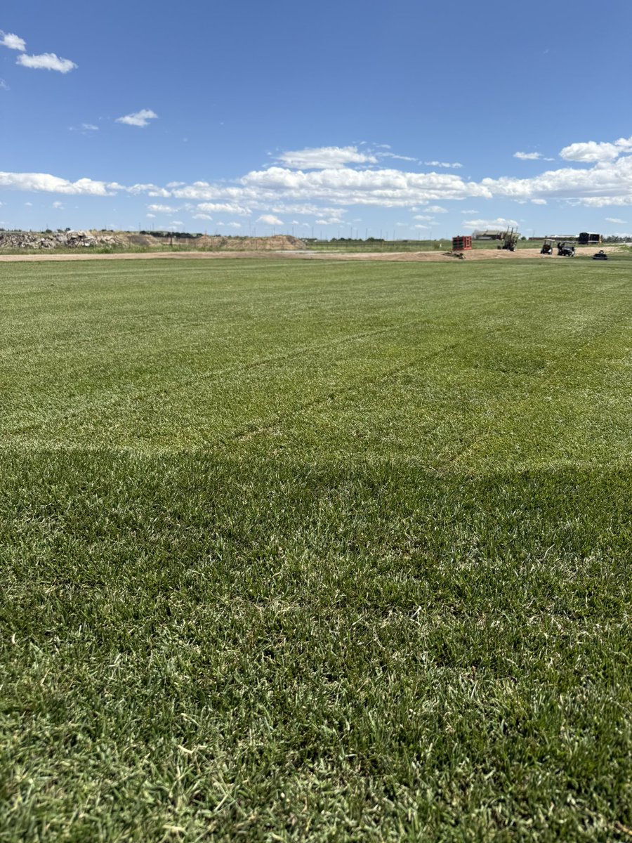 Josh DeJong, CSFM (@joshdejongcsfm) on Twitter photo Beautiful day for <a href="/NocoSod/">NoCo Sod Farm</a> <a href="/HgtSod/">HGT Sod</a> going in at Coyote Creek Golf Course, Fort Lupton Colorado. <a href="/BarenbrugUSA/">Barenbrug USA</a> Beautiful day for <a href="/NocoSod/">NoCo Sod Farm</a> <a href="/HgtSod/">HGT Sod</a> going in at Coyote Creek Golf Course, Fort Lupton Colorado. <a href="/BarenbrugUSA/">Barenbrug USA</a>