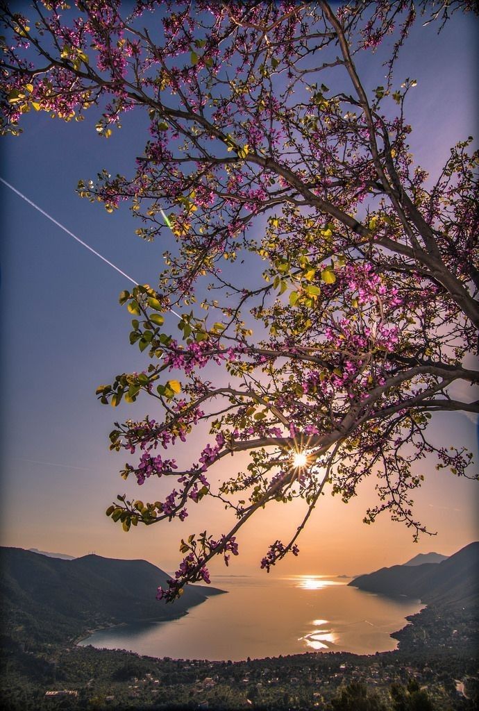 Vanessa Natali (@_natalifranco_) on Twitter photo 