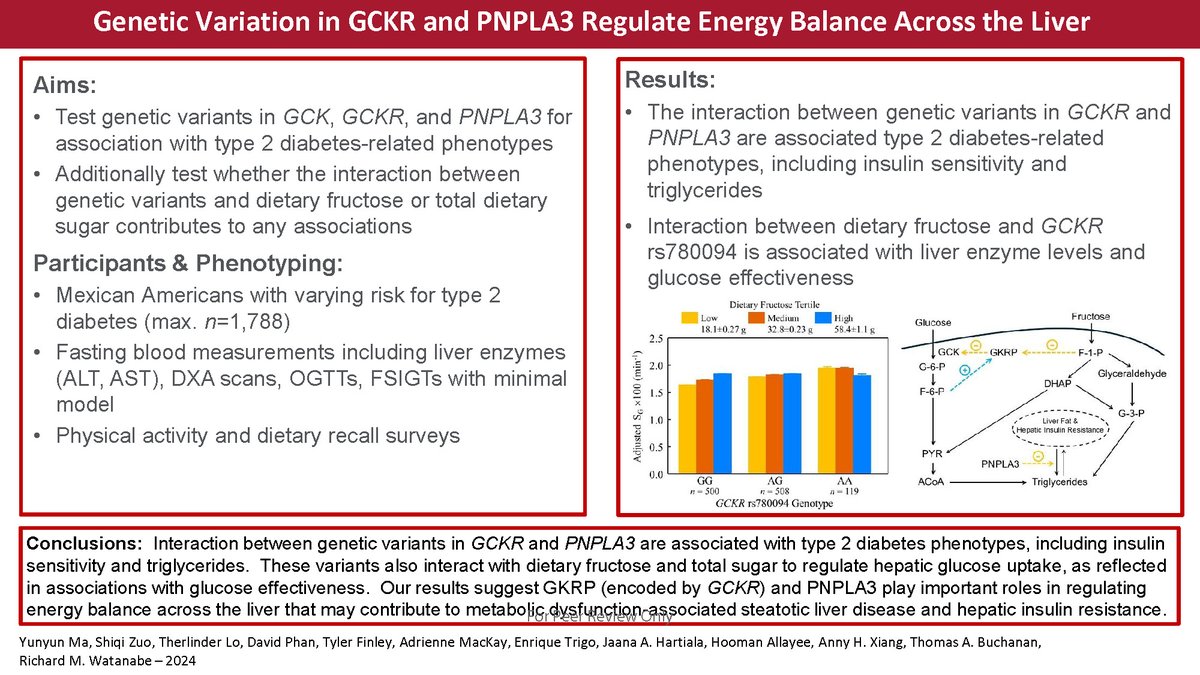 Diabetes, a research journal of the ADA 🧪 (@diabetes_ada) on Twitter photo GENETIC VARIATION IN GCKR AND PNPLA3 REGULATE METABOLIC BALANCE ACROSS THE LIVER
Read Here➡️ diabetesjournals.org/diabetes/looku…
<a href="/ADA_DiabetesPro/">American Diabetes Association - DiabetesPro</a> GENETIC VARIATION IN GCKR AND PNPLA3 REGULATE METABOLIC BALANCE ACROSS THE LIVER
Read Here➡️ diabetesjournals.org/diabetes/looku…
<a href="/ADA_DiabetesPro/">American Diabetes Association - DiabetesPro</a>