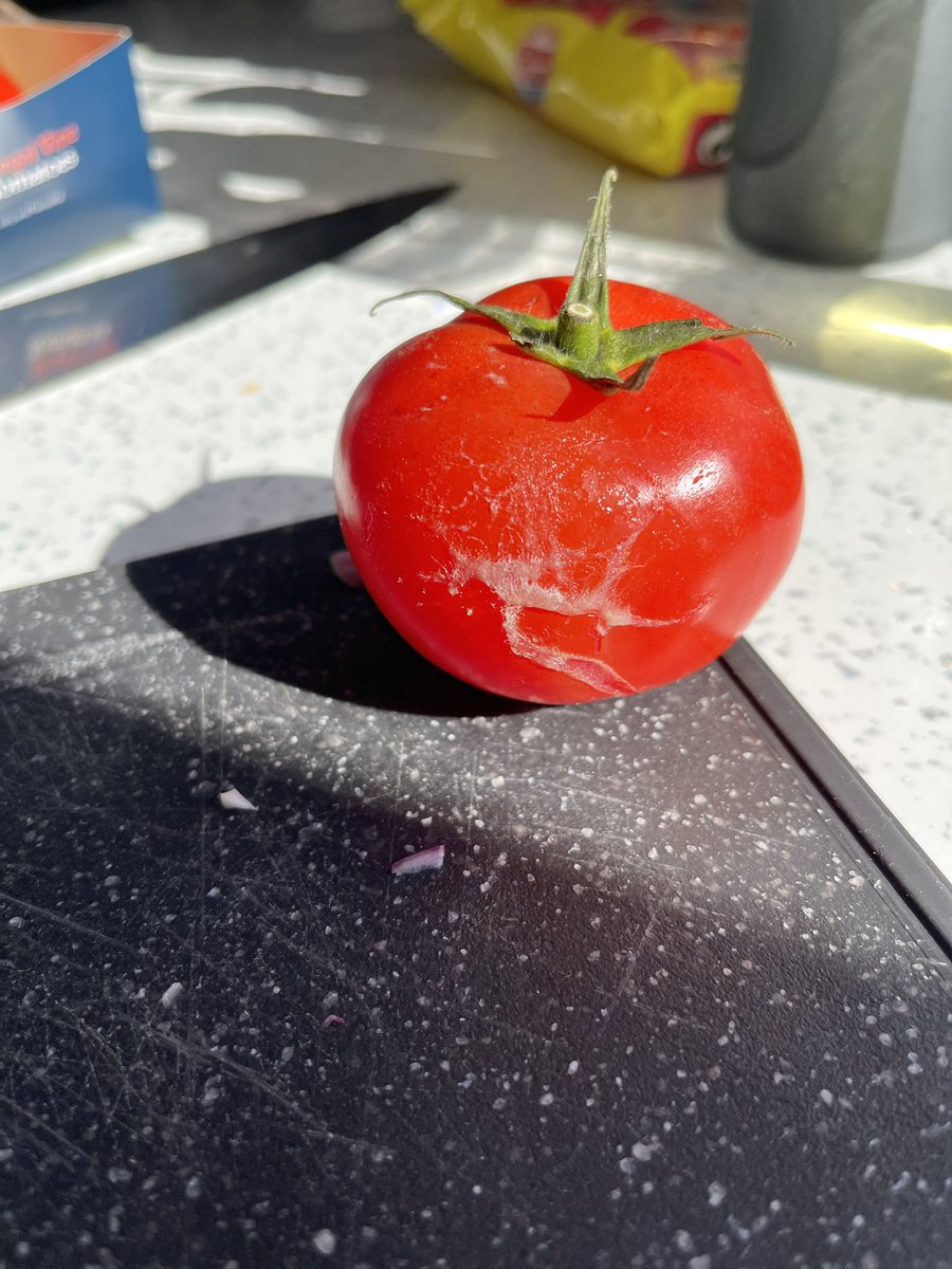 SamNicol13's tweet photo. Really!! @AldiUK must try harder. Bought a pack of vine tomatoes today to use for my dinner, got home opened the pack one was furry &amp; split!! Also the only one not on the vine. Other 3 were fine. Disappointing though. https://t.co/EkXfRh7YjO