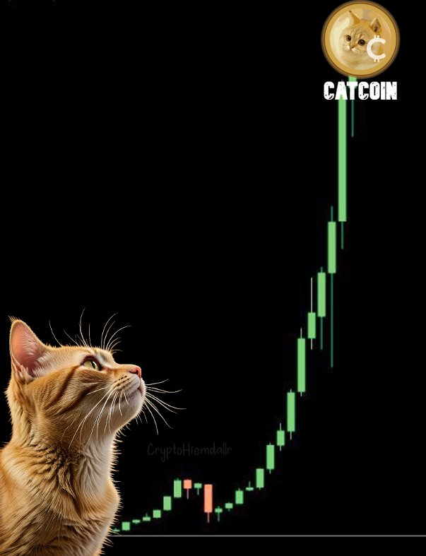 CryptoHiemdallr's tweet photo. ⚡️Loading..!!
#catcoin #ToTheMeow @catcoin https://t.co/sgyRNrQEXl