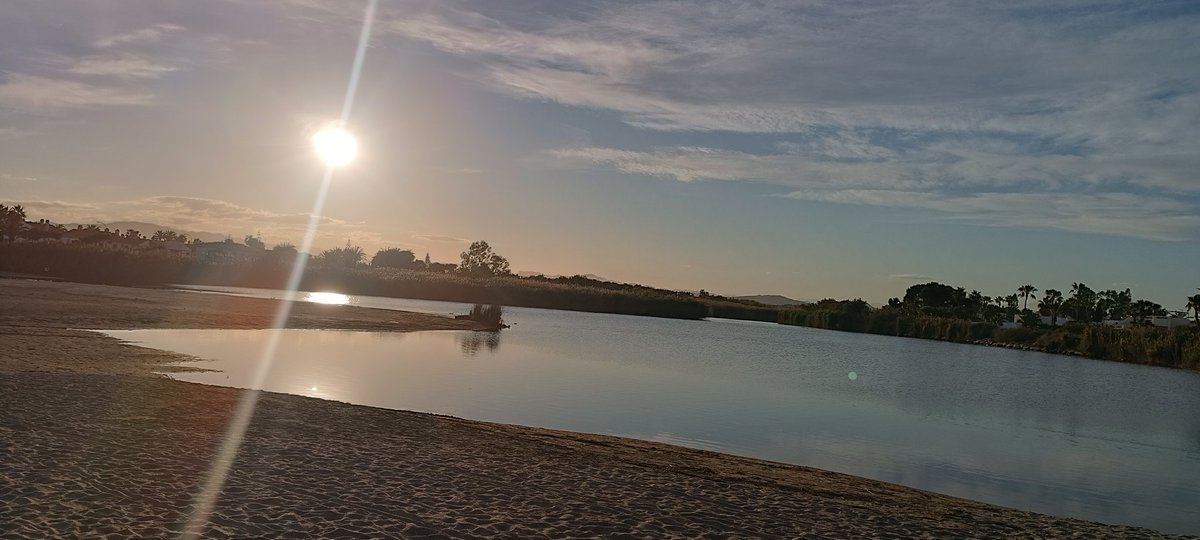 ...el dolor, la prueba induditable de estar vivo, todavía