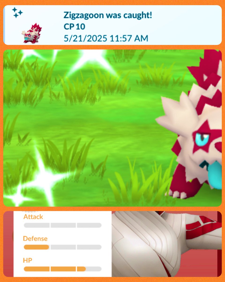 KamikeoPoGo's tweet photo. ✨#ShinyZIGZAGOON ✨
#FinalStrike

✨🍀🥳SHINY🥳🍀✨

... 👊🏾🐻  GRIND! 
#ShinyPokemon #ZIGZAGOON #GalarianZigzagoon #ShinyGameIsStrong #OnlyMatterOfTime #ShinyHunter #PokemonGo https://t.co/CuUikxH3Zi