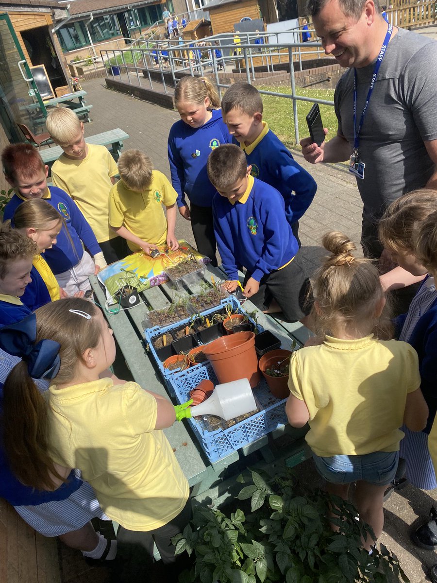 Year 3/4 tweet media