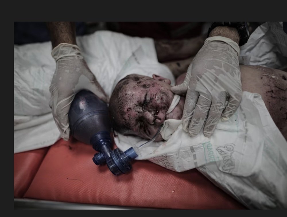 Björkman tweet media