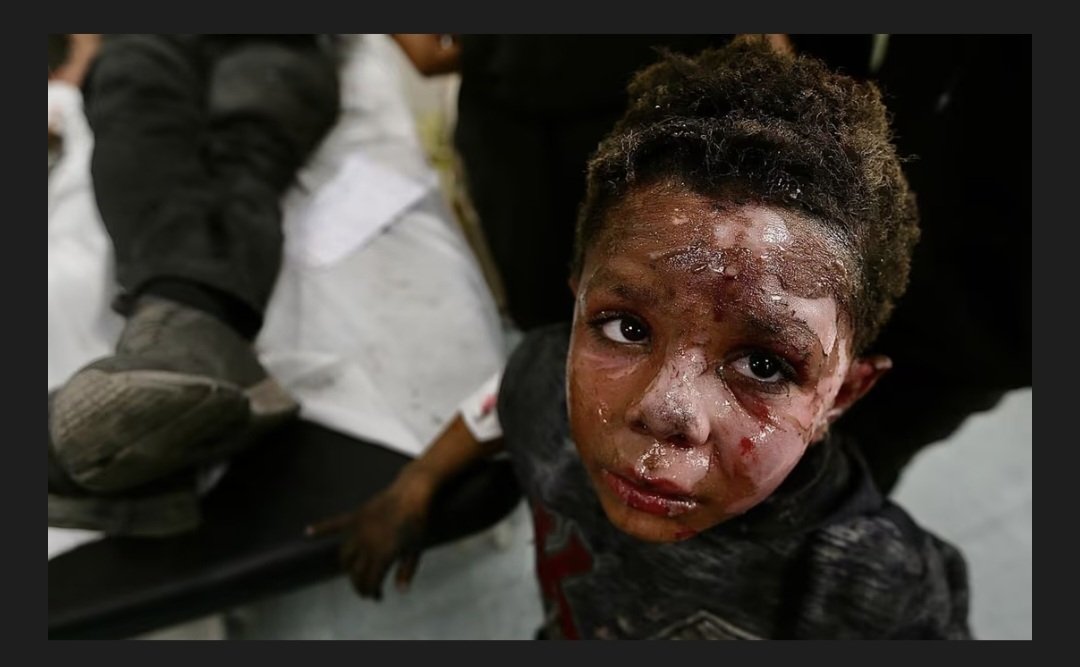 Björkman tweet media