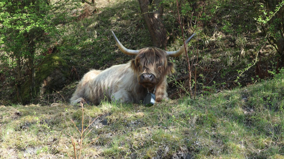 Karolina tweet media