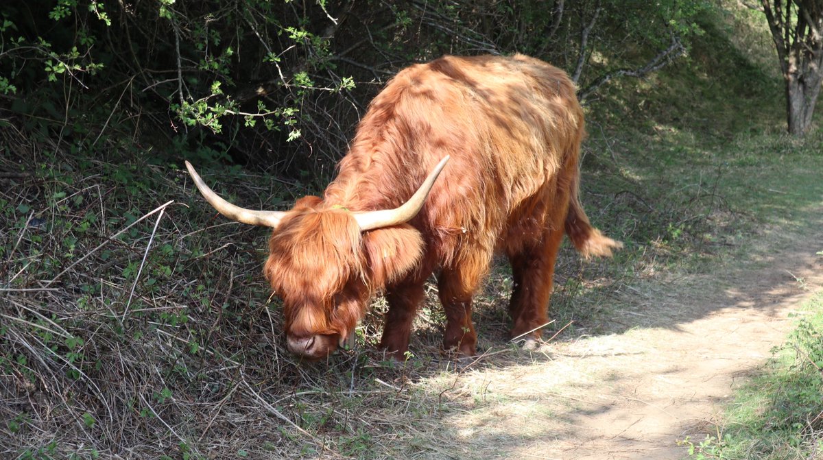 Karolina tweet media