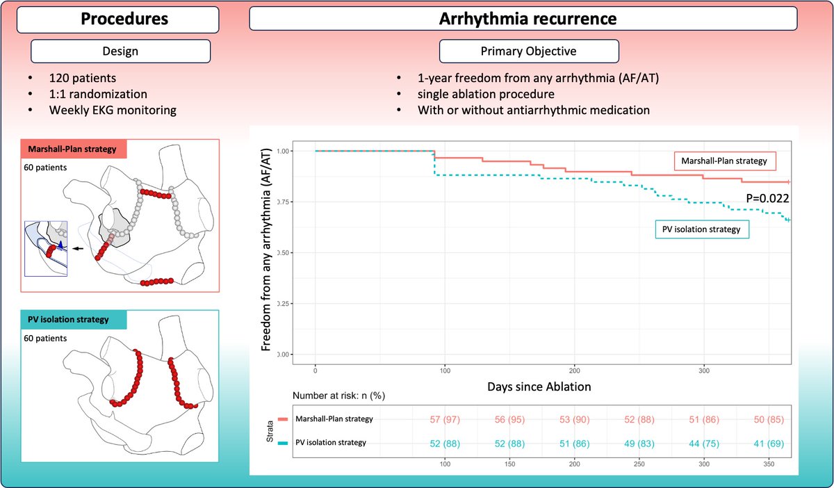 CircEP (@circulationep) on Twitter photo Marshall-PLAN (PVI + VOM ethanol infusion + systematic anatomic linear partition) does better than PVI only at 1 year and respects atrial physiology #AHAJournals #Epeeps @EPBordeaux <a href="/ArnaudMarine5/">Marine Arnaud</a> <a href="/C_KowalewskiMD/">Chris Kowalewski MD</a>
doi.org/10.1161/CIRCEP… Marshall-PLAN (PVI + VOM ethanol infusion + systematic anatomic linear partition) does better than PVI only at 1 year and respects atrial physiology #AHAJournals #Epeeps @EPBordeaux <a href="/ArnaudMarine5/">Marine Arnaud</a> <a href="/C_KowalewskiMD/">Chris Kowalewski MD</a>
doi.org/10.1161/CIRCEP…