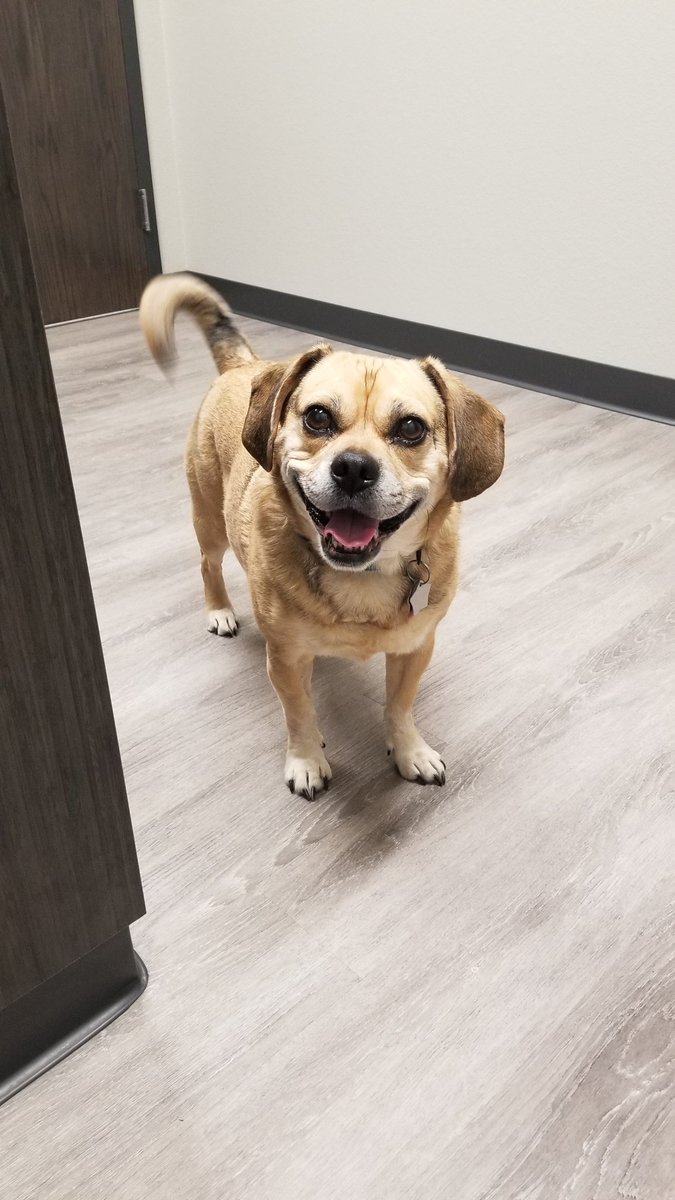 Luke Lesyshen tweet media