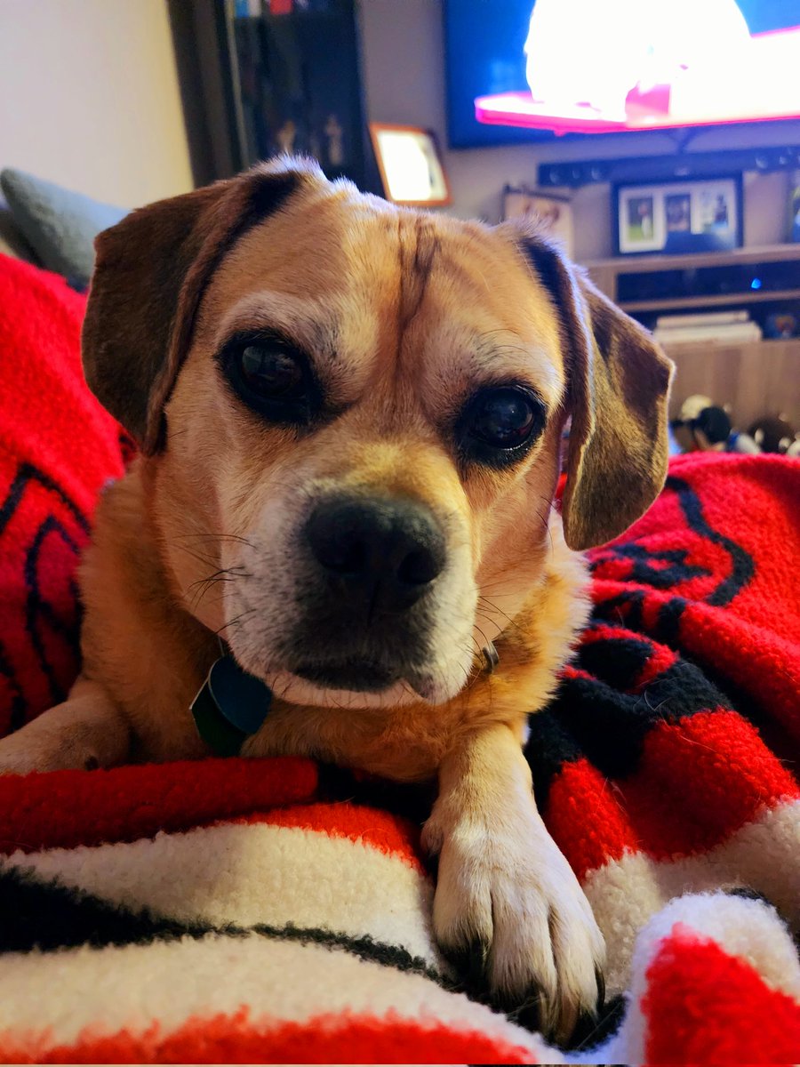 Luke Lesyshen tweet media