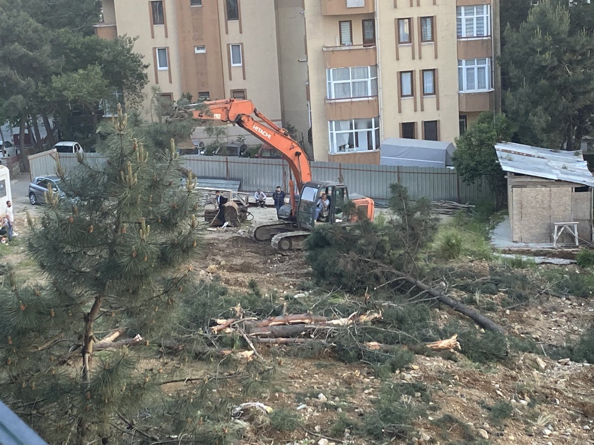 FIRAT_USLU's tweet photo. Uğurmumcu mh. Akşemsettin caddesi Akzambak sok. Bilim kent sitesi yanındaki inşaat alanında ne kadar ağaç varsa dozer yıkıp geçiyor @kartalbld @gokhanyukselist @komsuiletisim https://t.co/lA2QHDn9E2