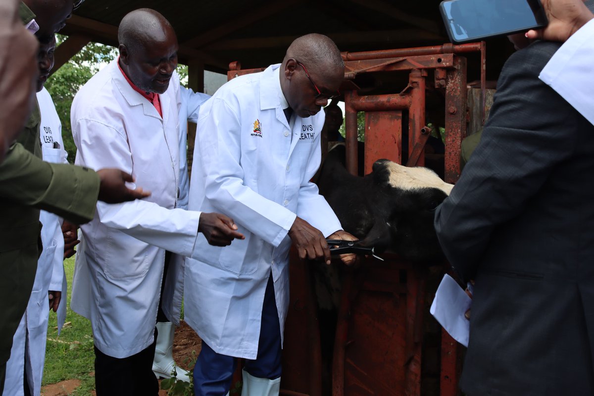 Dir_vetservices's tweet image. Today, the Directorate of Veterinary Services Launched the Animal Identification and Traceability System (ANITRAC) at Kabete Efficacy Trial Center. The pilot program will be conducted in 6 Government farms before roll out to the Public.