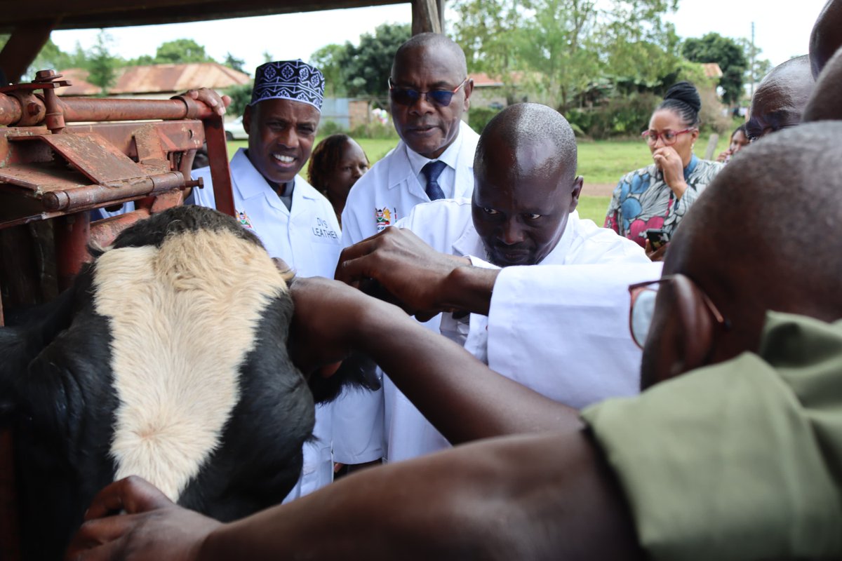 Dir_vetservices's tweet image. Today, the Directorate of Veterinary Services Launched the Animal Identification and Traceability System (ANITRAC) at Kabete Efficacy Trial Center. The pilot program will be conducted in 6 Government farms before roll out to the Public.