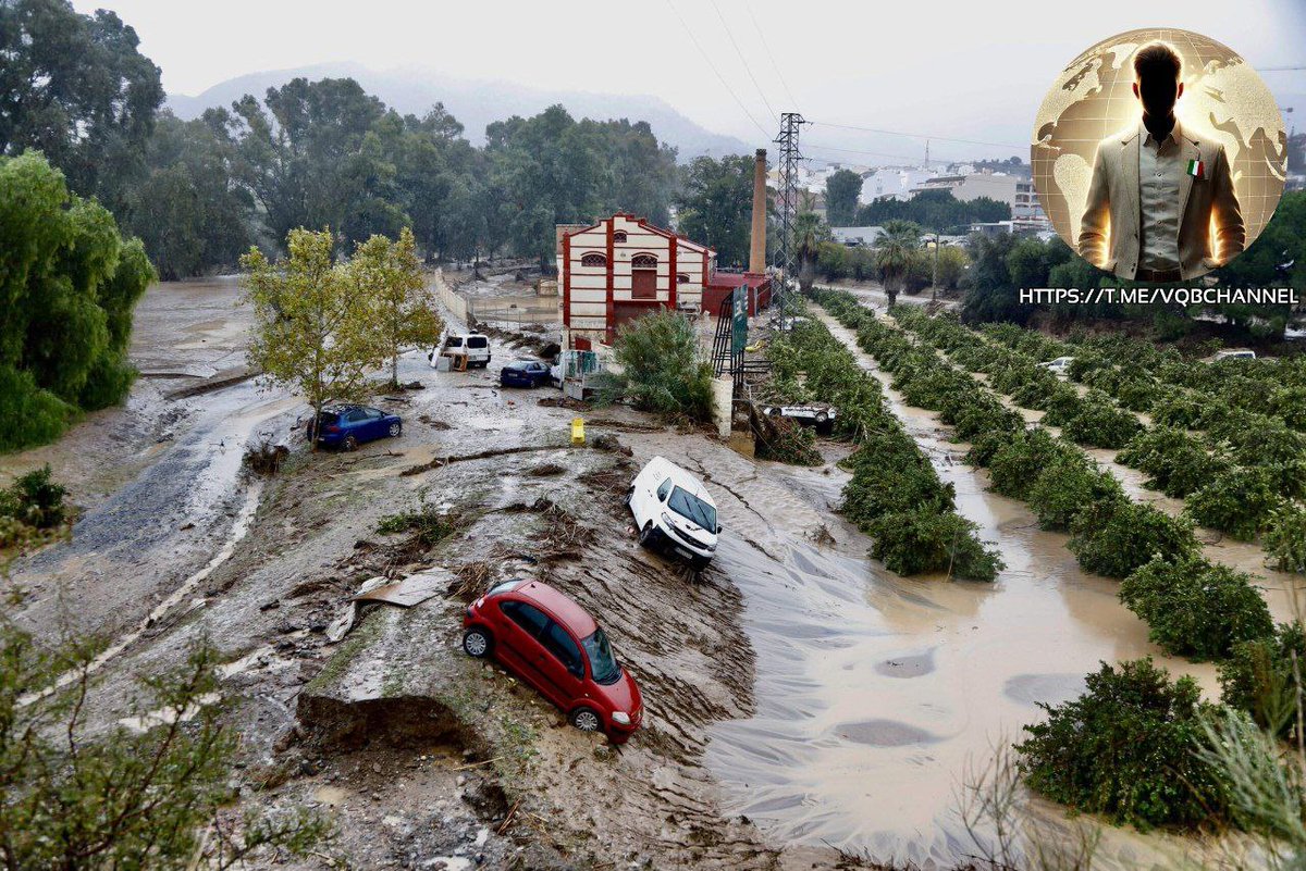 LadyAfro17's tweet photo. 21 maggio 2025, Italia
CATASTROFE ITALIA
L'#Italia è tra i Paesi europei maggiormente colpiti per perdite economiche dovute ad #eventi_climatici_estremi: nel periodo 1980-2023, si colloca al secondo posto nell'#UE27 con circa 134 miliardi di euro di danni, dopo la Germania con 180 miliardi e prima della Francia con 130 miliardi.
#21maggjo #Italia #Europa
#UE #clima #EurasiaNews
#ThisIsNotForMe #NotInMyName
#NonInMioNome
https://t.co/snX1ri2fPe