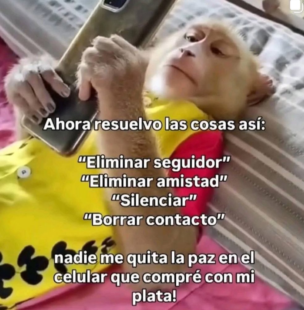 valeriafrancot's tweet photo. Soy esta https://t.co/Ul2dtm6MH1