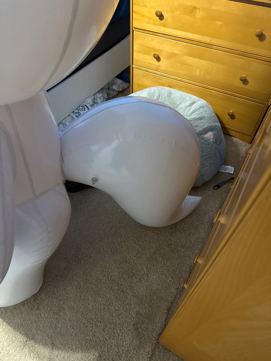 blueheart174.bsky.social tweet media