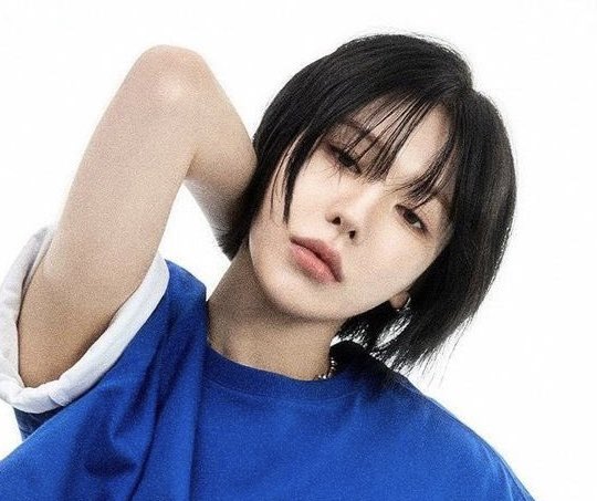 dee 🍬 tweet media