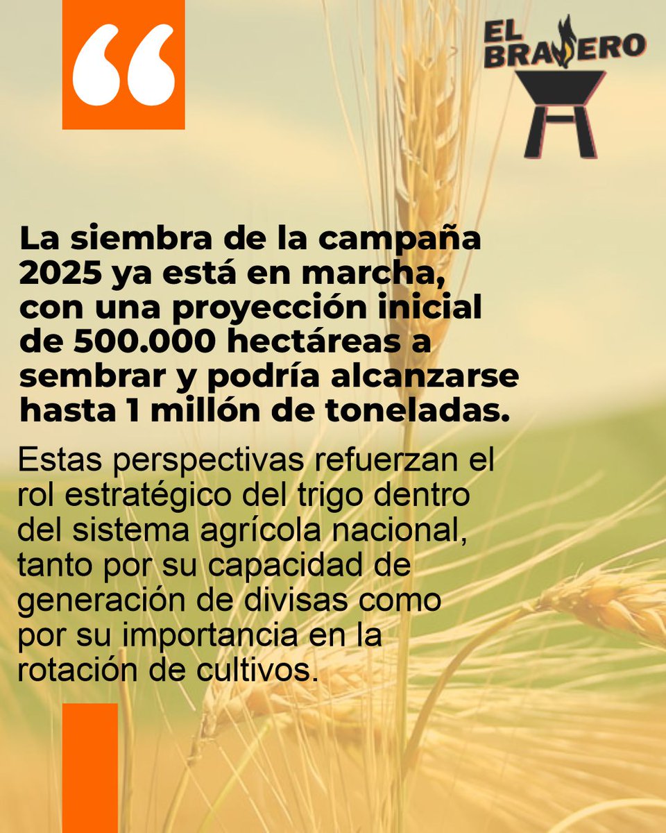 El millonario aporte de las exportaciones de trigo