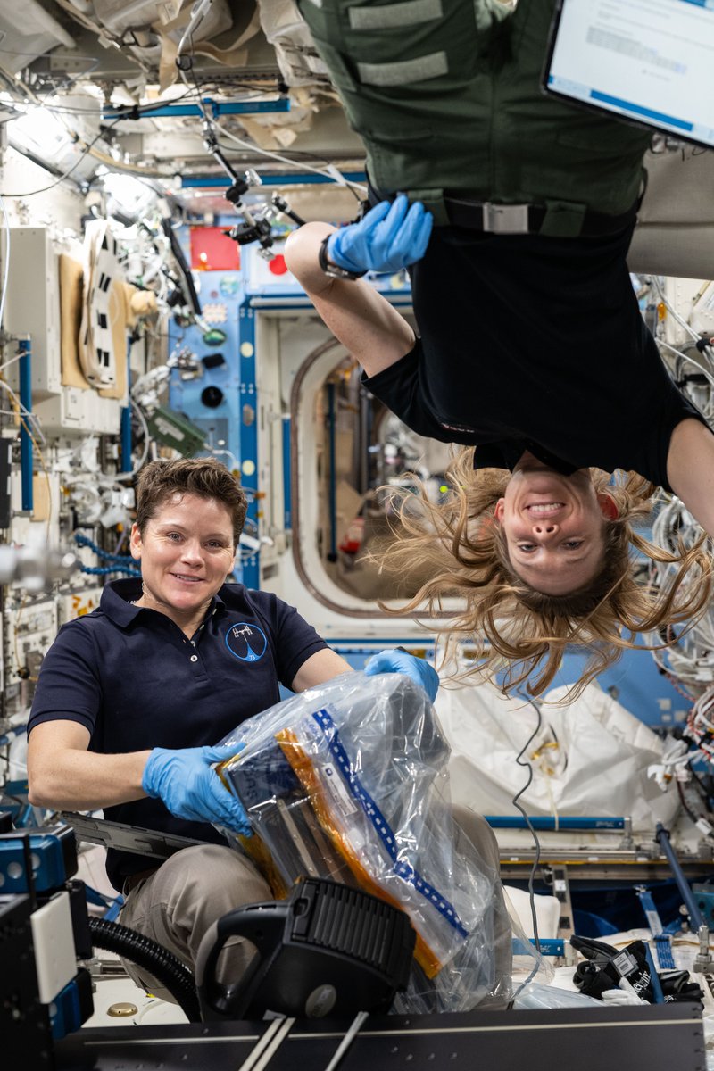 ISS Research (@iss_research) on Twitter photo Nichole and Anne pack up MISSE samples for return to Earth. MISSE exposed materials and tech to the harsh space environment outside <a href="/Space_Station/">International Space Station</a>. This platform helps design more durable materials and tech for future space missions. go.nasa.gov/45b1jUT Nichole and Anne pack up MISSE samples for return to Earth. MISSE exposed materials and tech to the harsh space environment outside <a href="/Space_Station/">International Space Station</a>. This platform helps design more durable materials and tech for future space missions. go.nasa.gov/45b1jUT