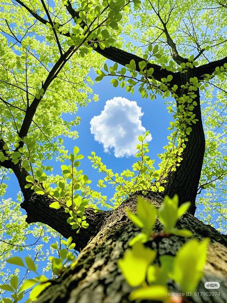greenvibe's tweet photo. https://t.co/LzrYiHcqZ7