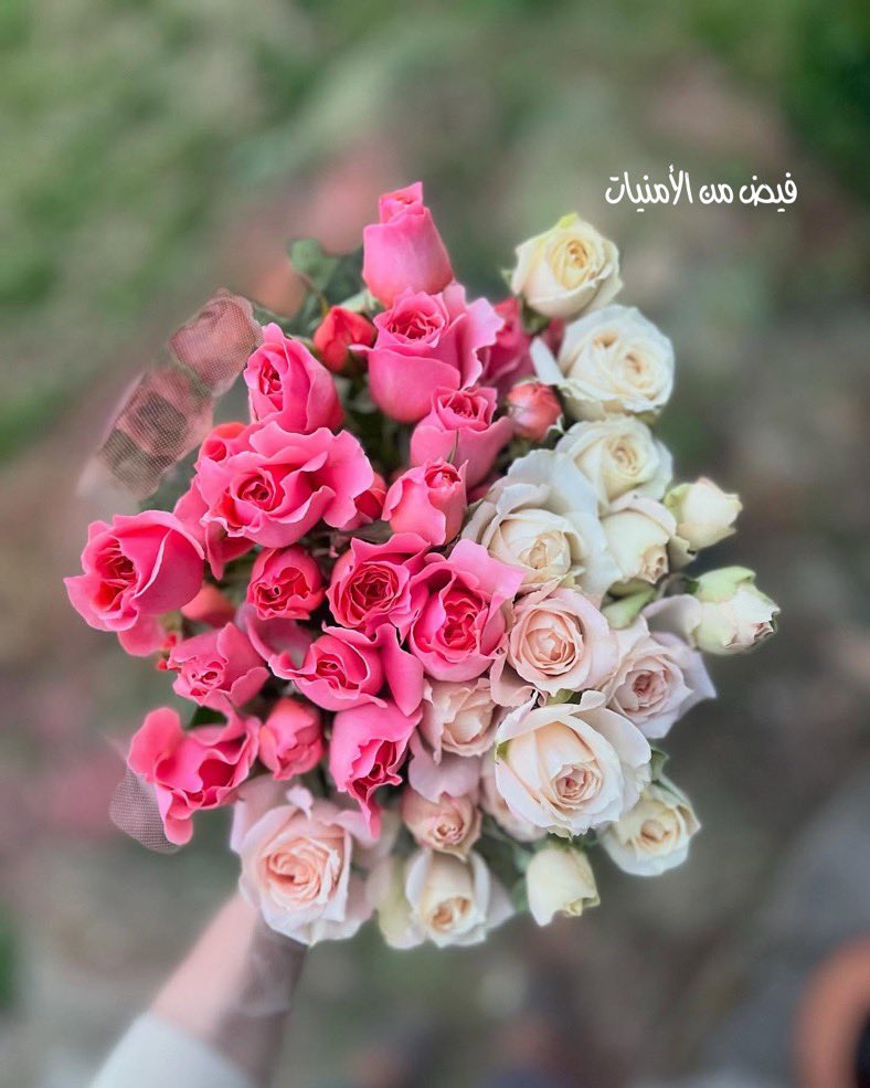 اللهم ارزقني البشائر والمسرات التي تسعد القلب وتجبره وتسر الخاطر وتفرحه سعادة وفرح قرار العين وجميل البشارات الآتية منك انك على كل شيء قدير