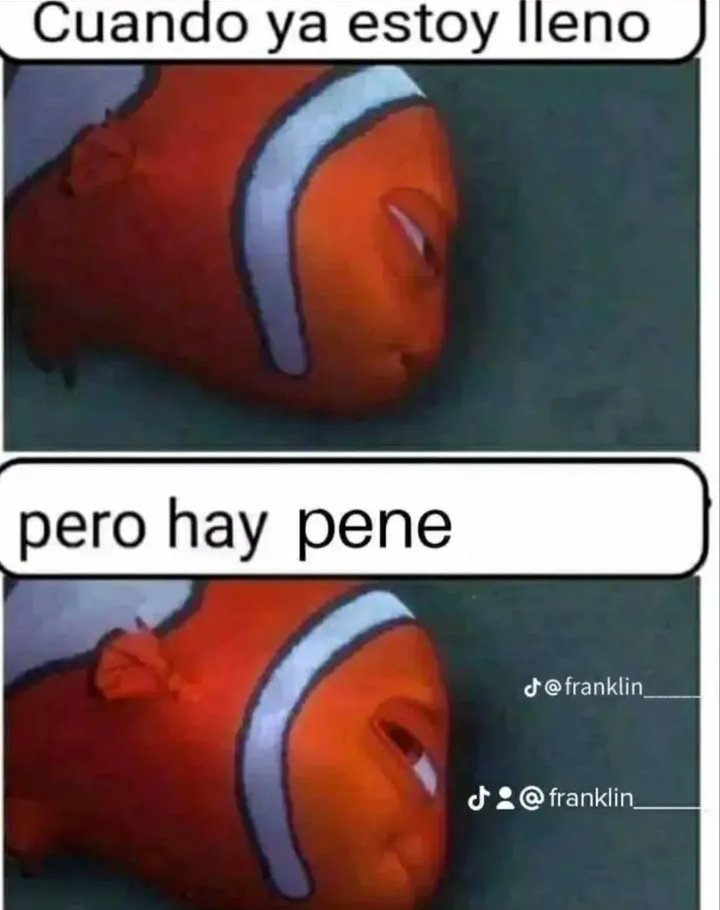 ope le fou (@lajjodidagraasa) on Twitter photo 