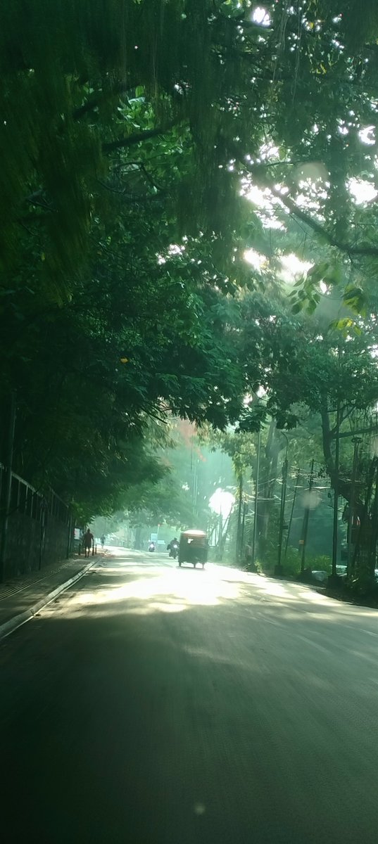 jithuaravind's tweet image. Monsoon morning!