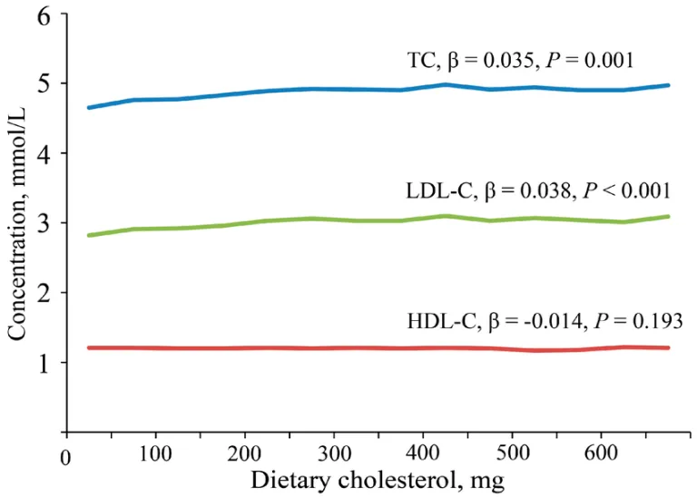 Eating cholesterol rich foods does not lead to a large increase in blood cholesterol levels that the mainstream would lead you to beleive.

Dietary cholesterol has a small but statistically significant effect on raising total cholesterol and LDL-C, but the changes are very modest