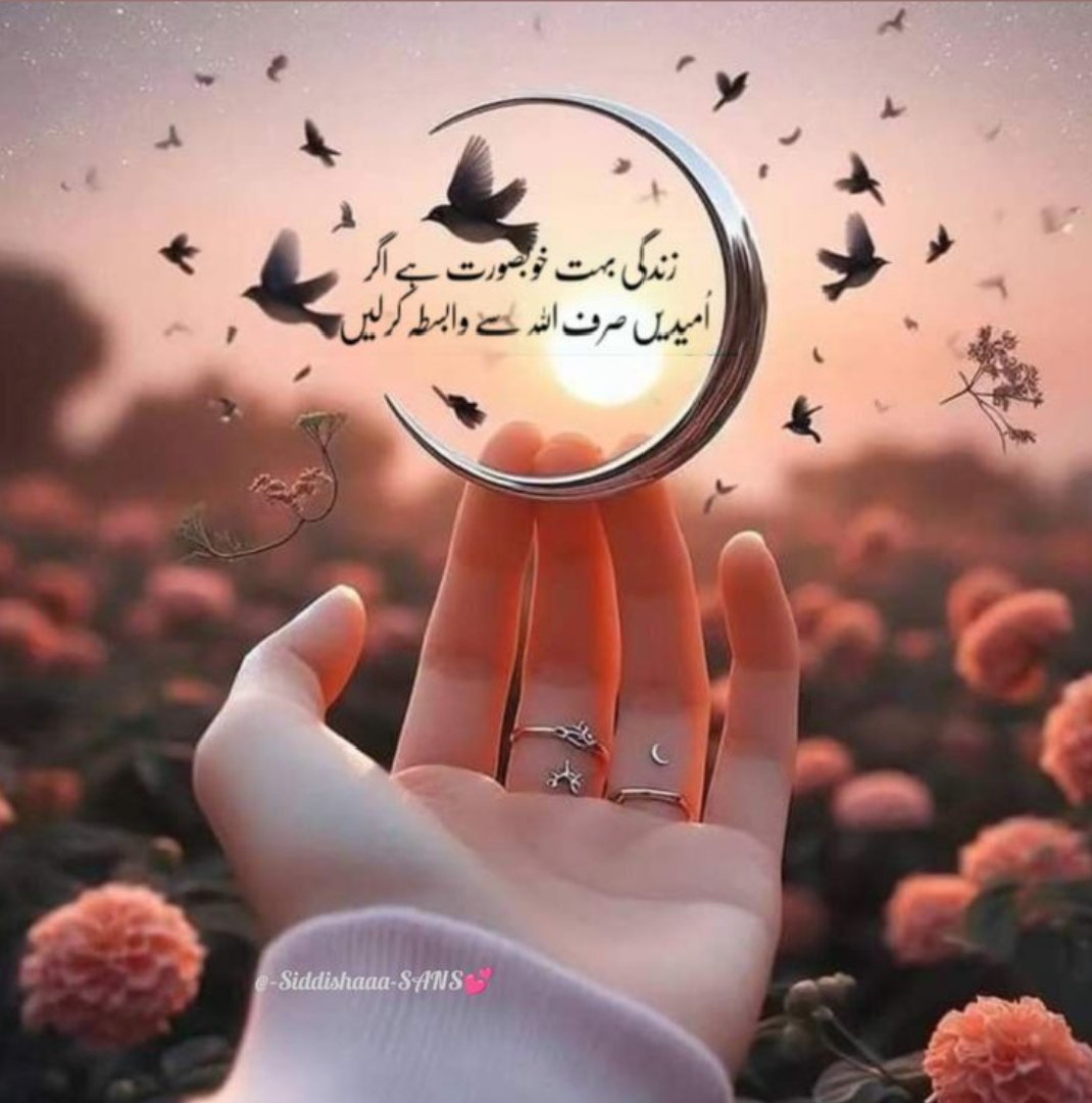 ꧁༺ 𝒵𝓊𝓃𝒾༻꧂ tweet media