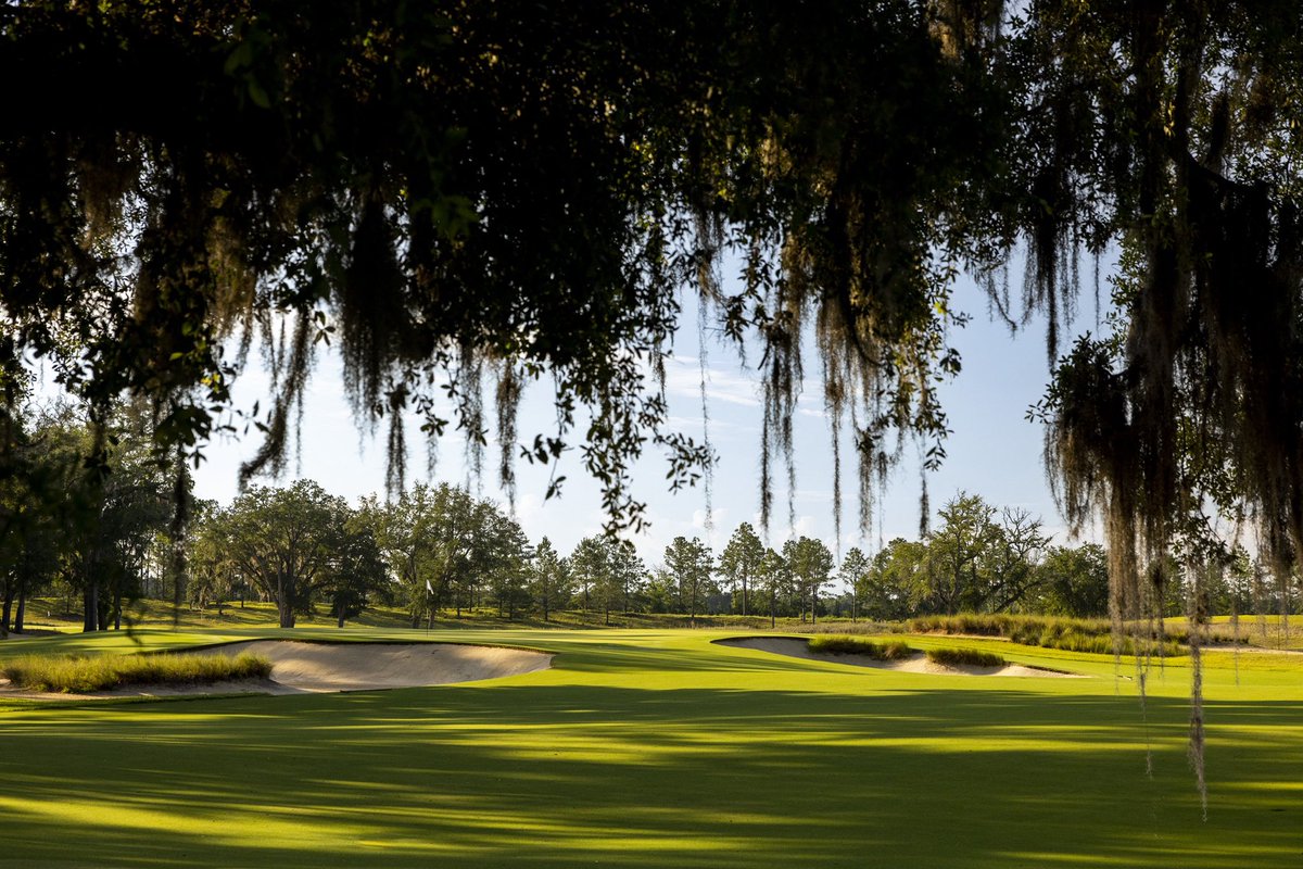 Just over two weeks until the world’s best collegiate golfers arrive at Congaree.🌴⛳️ 

#APCup