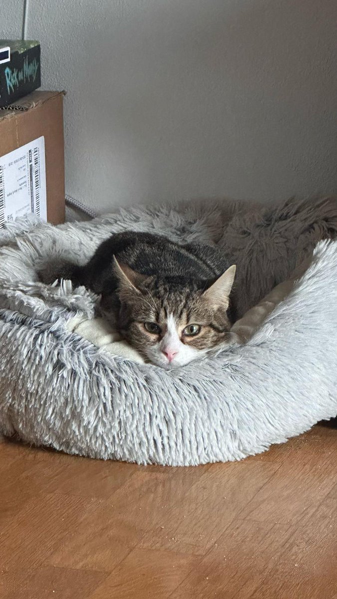 ✘ Anapplejack ✘ ‏ tweet media