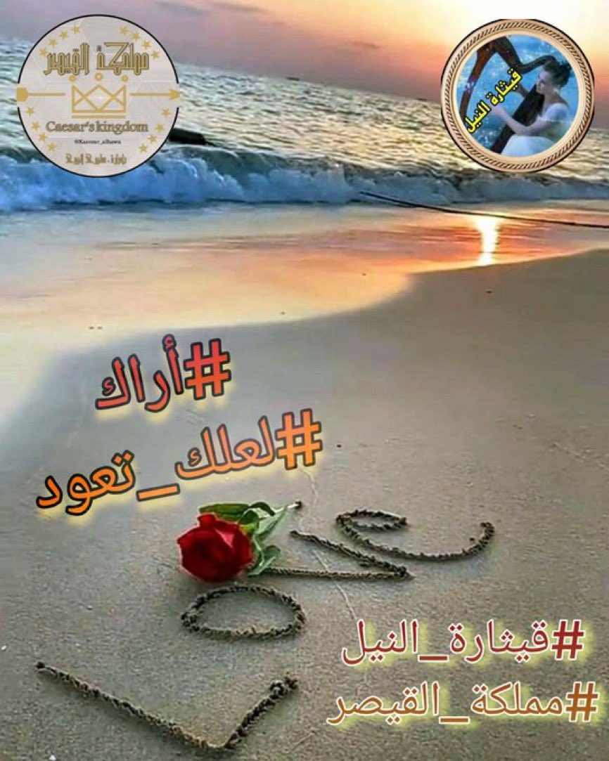 كل مساء أنتظر طيفك
#لعلك_تعودِ 
قمراً في سمائي
تنيري لي ليلي
تبددي احزاني .
أنا التي اتمنى #أراك 
حين تميل الشمس
حين أغمض عيني
في هدوء المكان
في رائحة القهوة ،
فلا تطيل الرحيل
قلوبنا تذوب 
شوقاً وحنين .

#قيثارة_النيل🎻
#مملكة_القيصر 
٭ۦٰ ﭑﭑقٰمۘﭑﭑﭑرۧ ﹻﹻ۬ۦٰ٭ۦ✍️