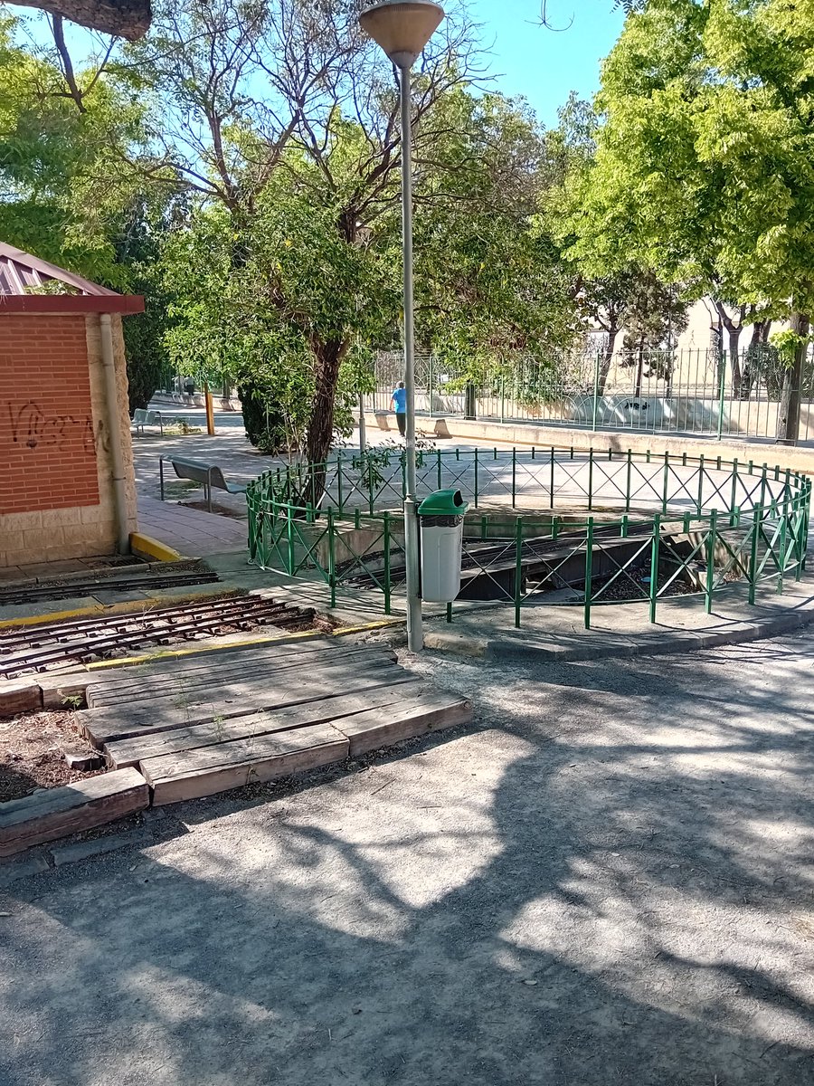 парусная ящерица tweet media