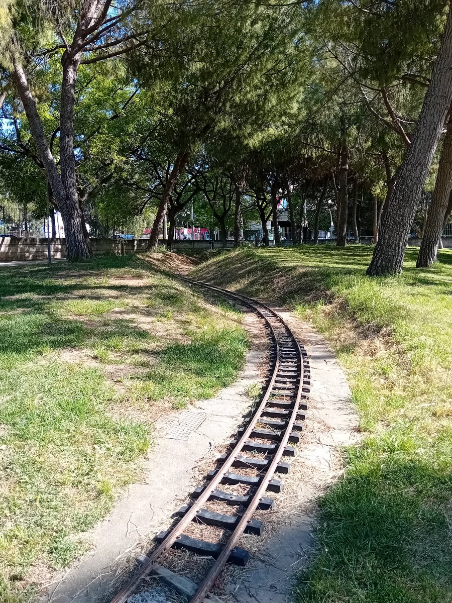 парусная ящерица tweet media