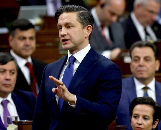 Aidan Mackey tweet media